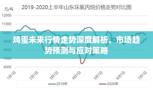 鸡蛋未来行情走势深度解析，市场趋势预测与应对策略