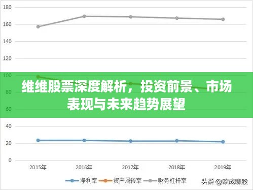 维维股票深度解析，投资前景、市场表现与未来趋势展望
