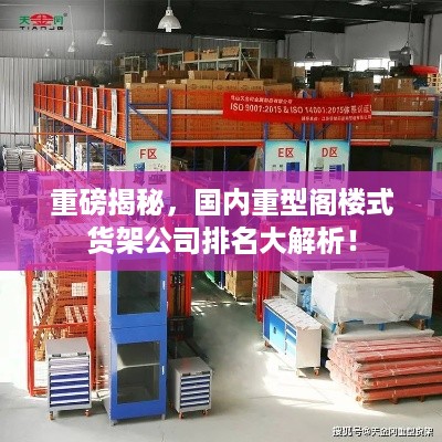重磅揭秘，国内重型阁楼式货架公司排名大解析！