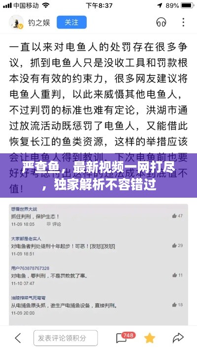 严查鱼，最新视频一网打尽，独家解析不容错过