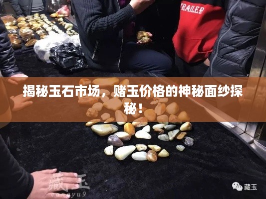 揭秘玉石市场，赌玉价格的神秘面纱探秘！