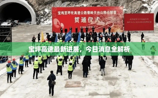 宝坪高速最新进展，今日消息全解析