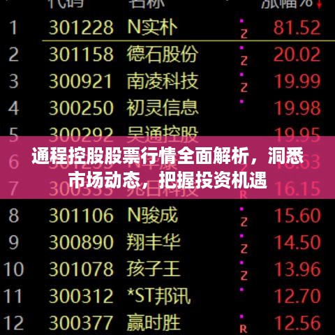 通程控股股票行情全面解析，洞悉市场动态，把握投资机遇