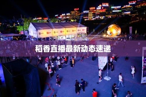 稻香直播最新动态速递