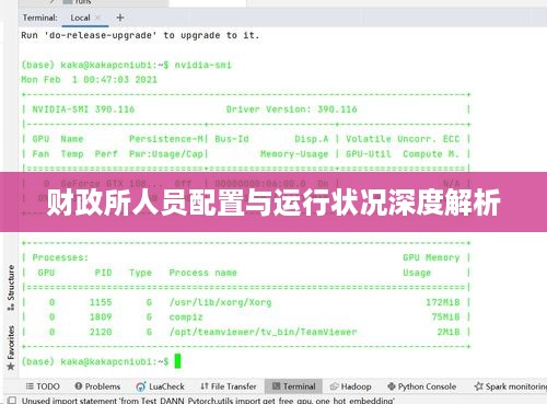 财政所人员配置与运行状况深度解析