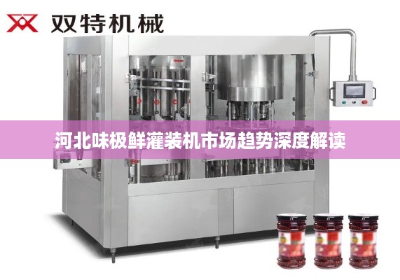 河北味极鲜灌装机市场趋势深度解读