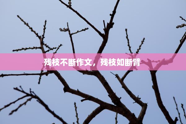 残枝不断作文，残枝如断臂 