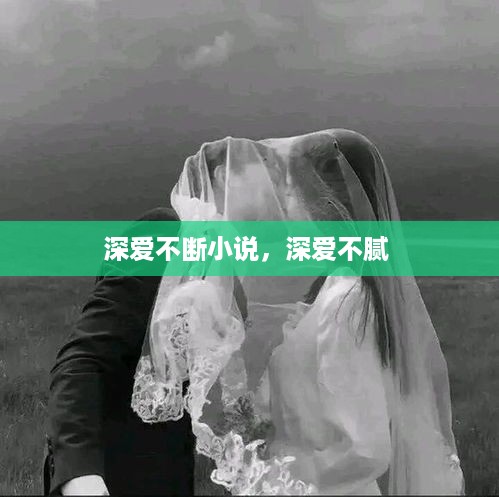 深爱不断小说，深爱不腻 