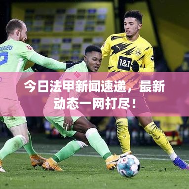 今日法甲新闻速递，最新动态一网打尽！