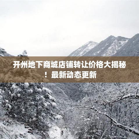 开州地下商城店铺转让价格大揭秘！最新动态更新