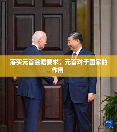 落实元首会晤要求，元首对于国家的作用 