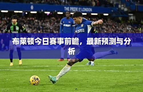 布莱顿今日赛事前瞻，最新预测与分析