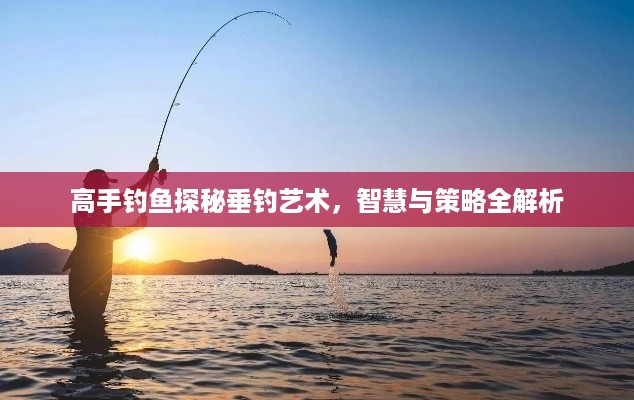 高手钓鱼探秘垂钓艺术，智慧与策略全解析
