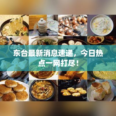 东台最新消息速递，今日热点一网打尽！