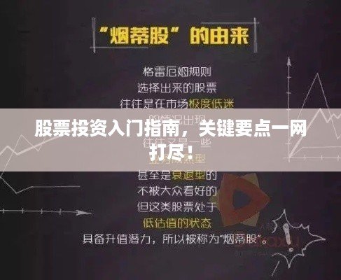 股票投资入门指南，关键要点一网打尽！