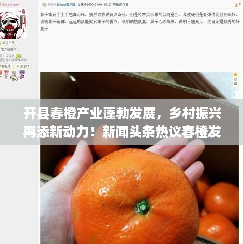 开县春橙产业蓬勃发展，乡村振兴再添新动力！新闻头条热议春橙发展