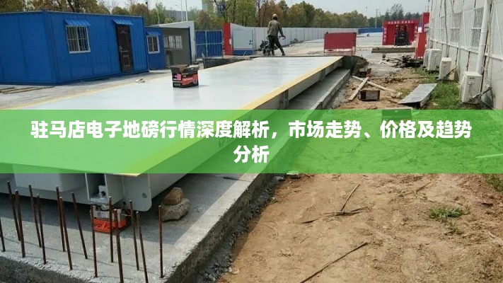 驻马店电子地磅行情深度解析，市场走势、价格及趋势分析