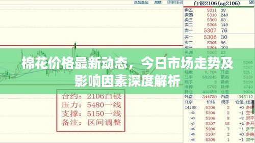 棉花价格最新动态，今日市场走势及影响因素深度解析