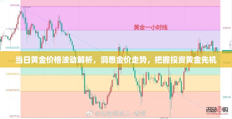 当日黄金价格波动解析，洞悉金价走势，把握投资黄金先机