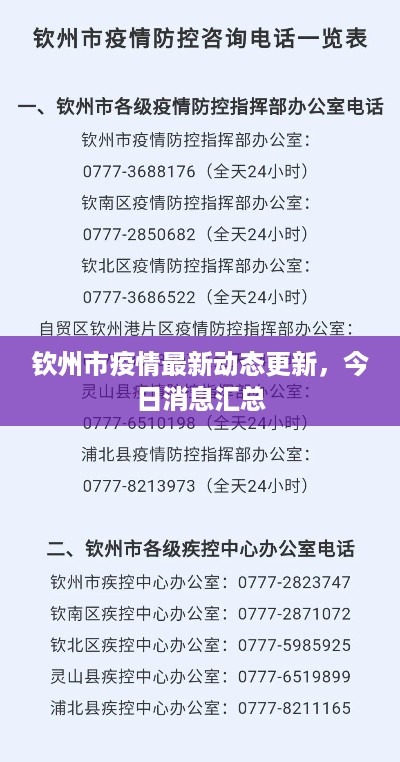 钦州市疫情最新动态更新，今日消息汇总