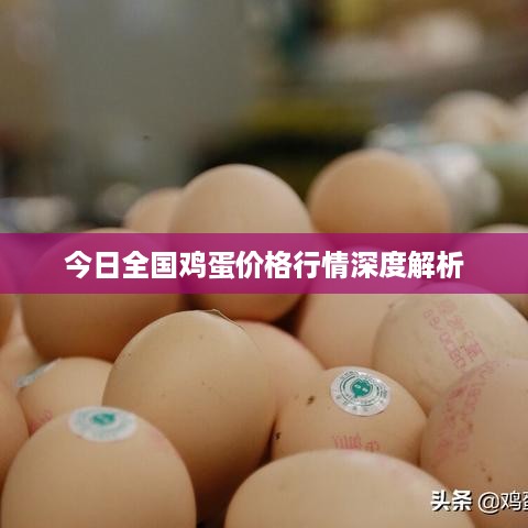 今日全国鸡蛋价格行情深度解析
