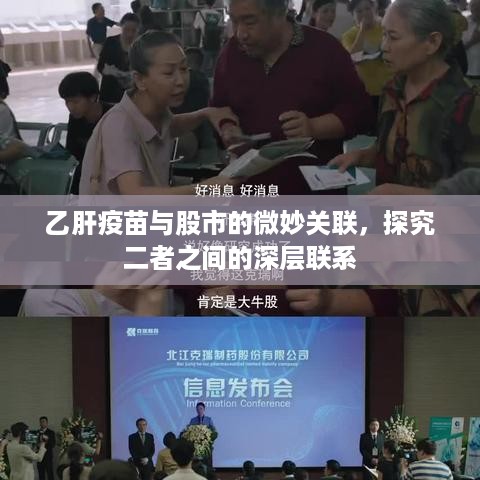 乙肝疫苗与股市的微妙关联，探究二者之间的深层联系