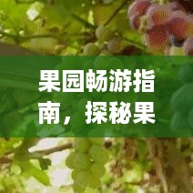 果园畅游指南，探秘果香四溢的乐园！