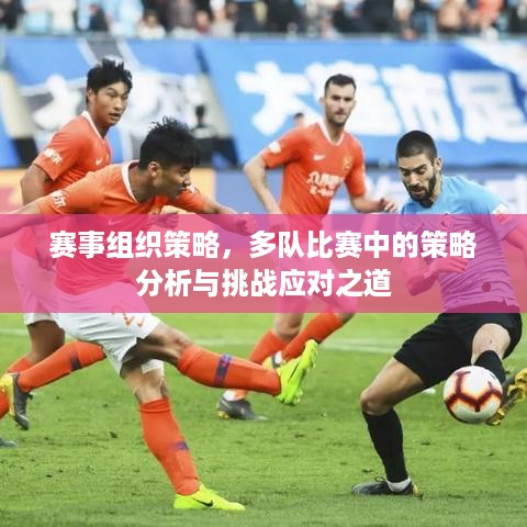 赛事组织策略，多队比赛中的策略分析与挑战应对之道