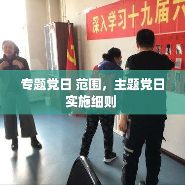 专题党日 范围，主题党日实施细则 