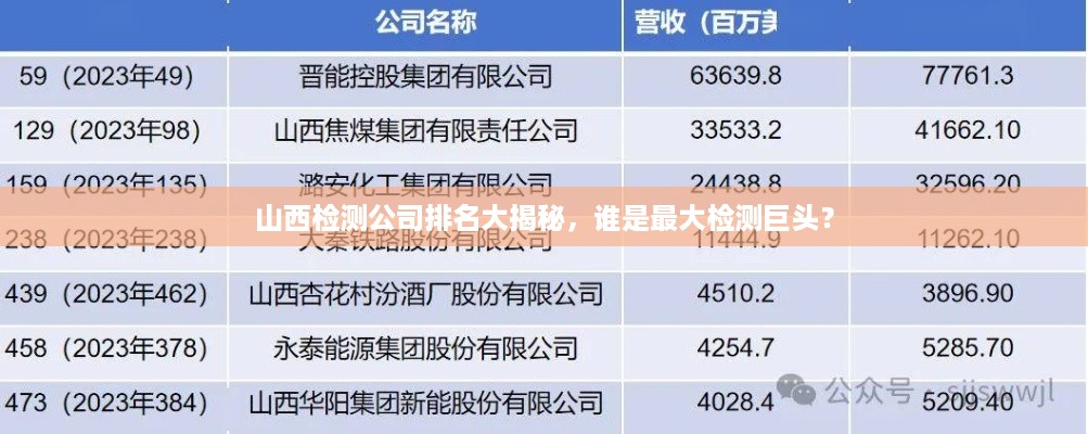 山西检测公司排名大揭秘，谁是最大检测巨头？