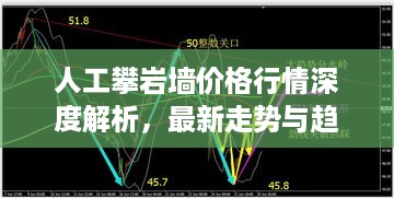 人工攀岩墙价格行情深度解析，最新走势与趋势预测