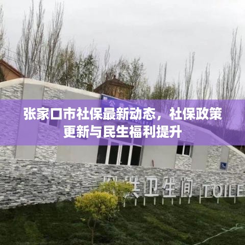 张家口市社保最新动态，社保政策更新与民生福利提升