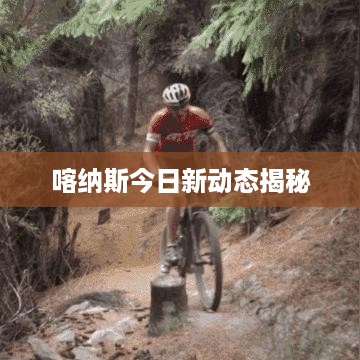 喀纳斯今日新动态揭秘