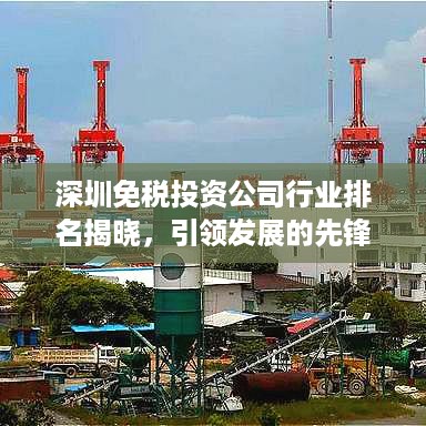 深圳免税投资公司行业排名揭晓，引领发展的先锋力量
