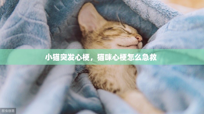 小猫突发心梗，猫咪心梗怎么急救 