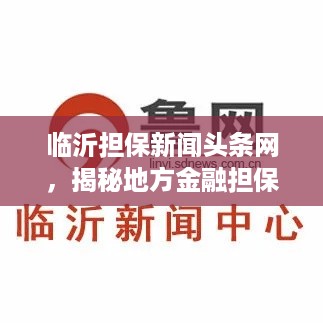 临沂担保新闻头条网，揭秘地方金融担保最新动态