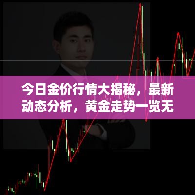 今日金价行情大揭秘，最新动态分析，黄金走势一览无余