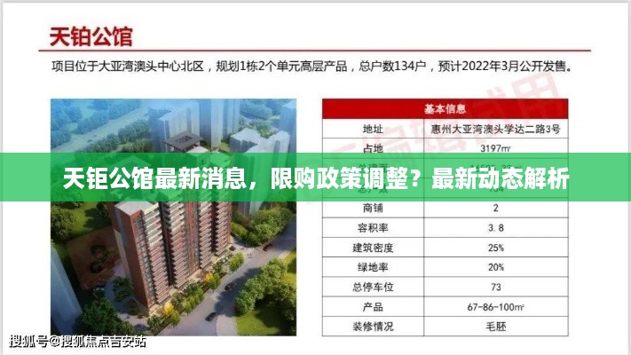 天钜公馆最新消息，限购政策调整？最新动态解析