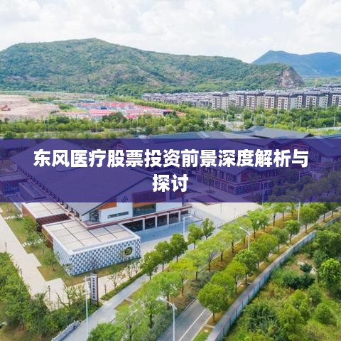 东风医疗股票投资前景深度解析与探讨