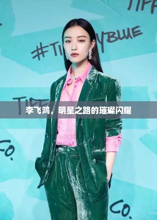李飞鸿，明星之路的璀璨闪耀