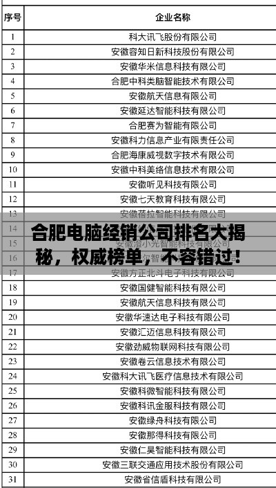 合肥电脑经销公司排名大揭秘，权威榜单，不容错过！