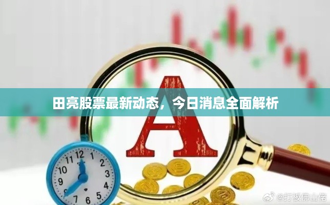 田亮股票最新动态，今日消息全面解析