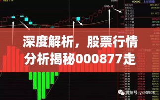 深度解析，股票行情分析揭秘000877走势及未来展望