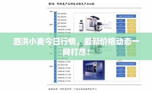 泗洪小麦今日行情，最新价格动态一网打尽！