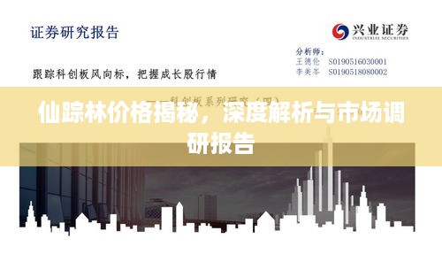 仙踪林价格揭秘，深度解析与市场调研报告