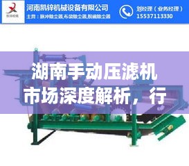 湖南手动压滤机市场深度解析，行业趋势、机遇与挑战