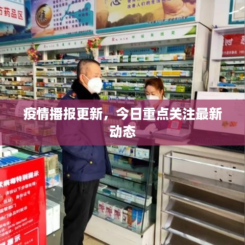 疫情播报更新，今日重点关注最新动态