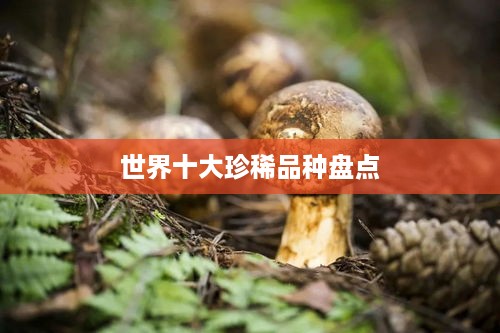 世界十大珍稀品种盘点