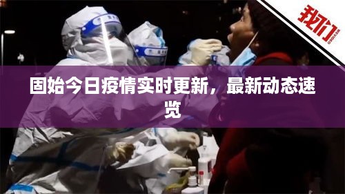 固始今日疫情实时更新，最新动态速览