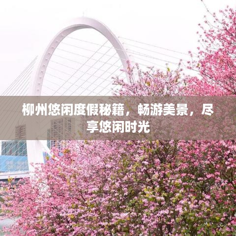 柳州悠闲度假秘籍，畅游美景，尽享悠闲时光